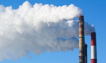 Photo: H_Ko/Adobe Stock