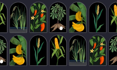 A row of fruits, vegetables, and grains resembling seed packets